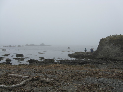 Cape Alava!