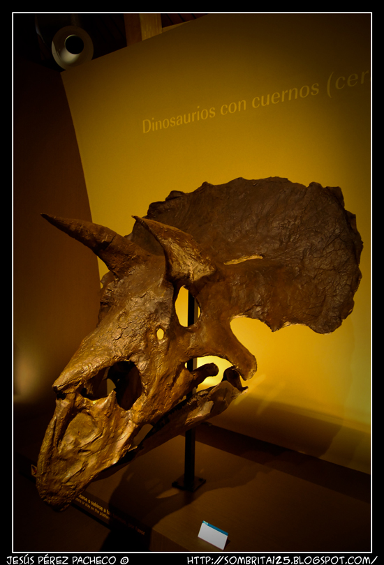 MUJA el Museo Jurásico de Asturias en Colunga