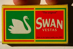 Swan Vestas 2