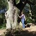Go on hug the oak Sally