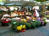 Tübingen Saturday Market
