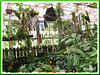 Plants inside the Rare Plants and Orchids Conservatory, Rimba Ilmu Botanic Garden, Rimba Ilmu Botanic Garden in KL