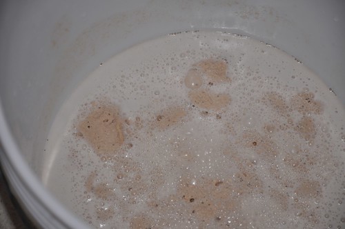 Here, Im activating yeast in a bucket prior to adding it to the Cabernet. Looks like chocolate milk!