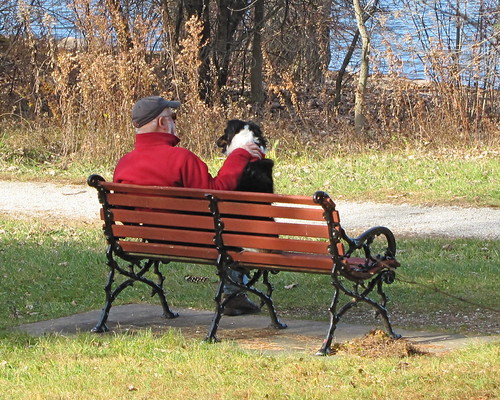 companions