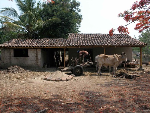 Yunta con carreta - working with oxen and cart; Madriz, Nicaragua