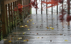 Stormy wet November day