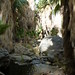 Andreas Canyon Trail