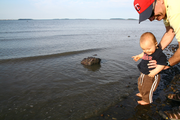 Finn takes a dip in an east coast ocean