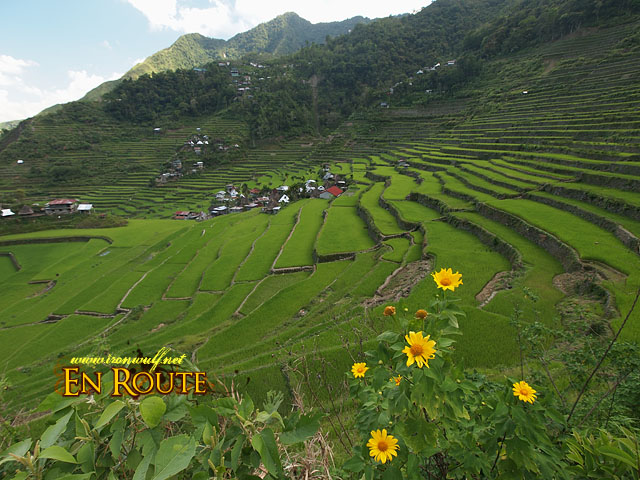 Now on the otherside of the terraces, the vibrant colors of Batad