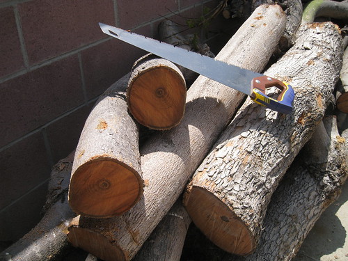 Jacaranda log end cut off for turning