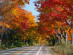 M22 Fall Colors - Leland, MI