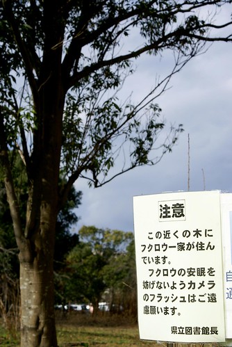 新潟県立図書館のフクロウ