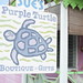 Purple Turtle on Anegada