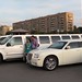 limo collection