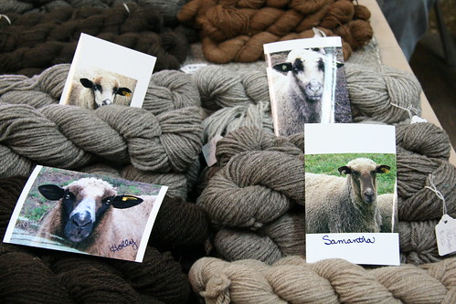 sheepy yarns