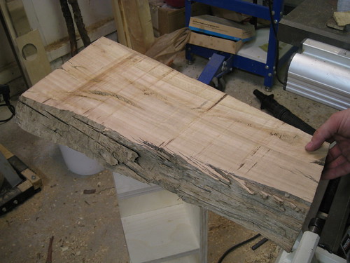 Euclayptus slab back