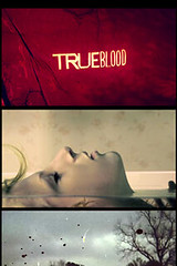 True Blood Page 3 iPhone Theme