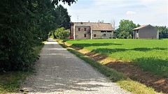 Via Francigena - Fiorenzuola - Fidenza