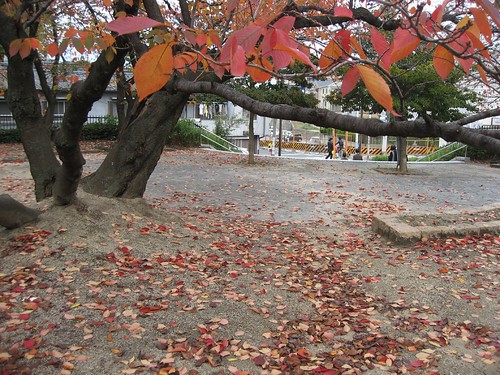 The park which has begun to turn red and yellow