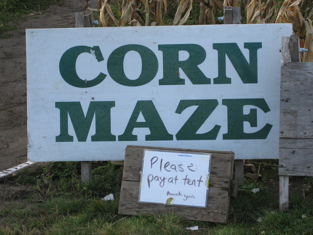 Corn Maze by Wildcat Dunny, on Flickr