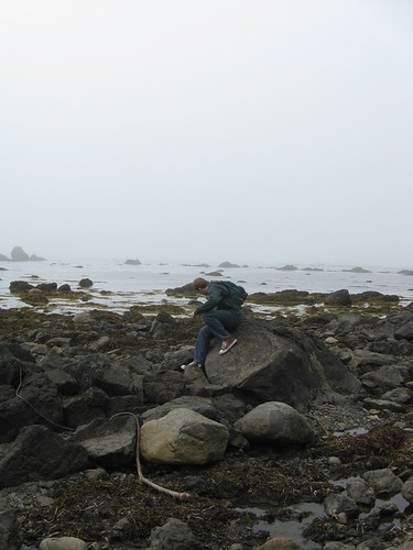 Hiking the Ozette Loop