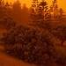 Red Dawn dust storm 8:30am