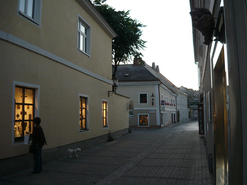 Herrengasse with dog<br/>© <a href="https://flickr.com/people/35041397@N00" target="_blank" rel="nofollow">35041397@N00</a> (<a href="https://flickr.com/photo.gne?id=3998201653" target="_blank" rel="nofollow">Flickr</a>)