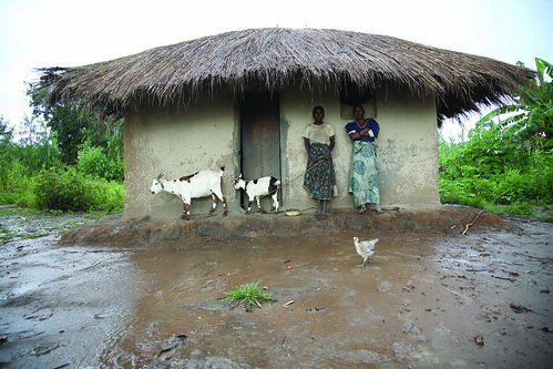Household takes refuge from the rain in central Malawi