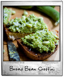 Broad Bean Crostini