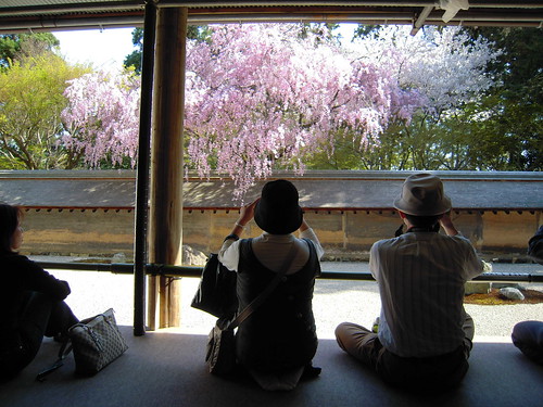 10 de Abril - Primer dia en Kyoto - Japón en 13 días, y por <2000€ (21)