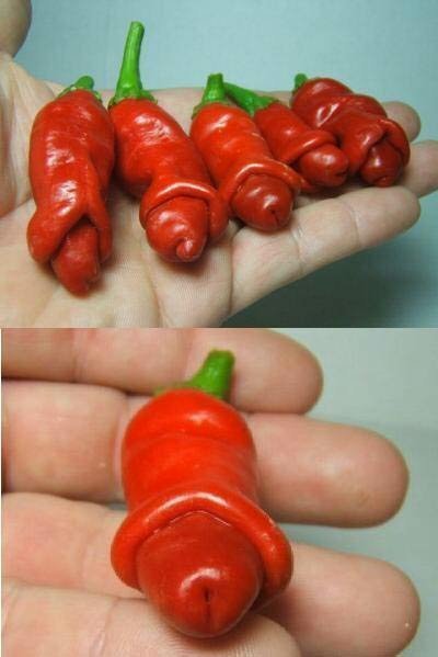Horny Red Hot Chillis - Penis Chilli