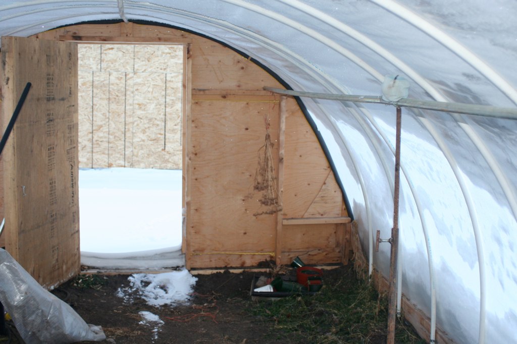 Greenhouse in December