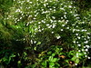 autunno, 28.9.09, 4