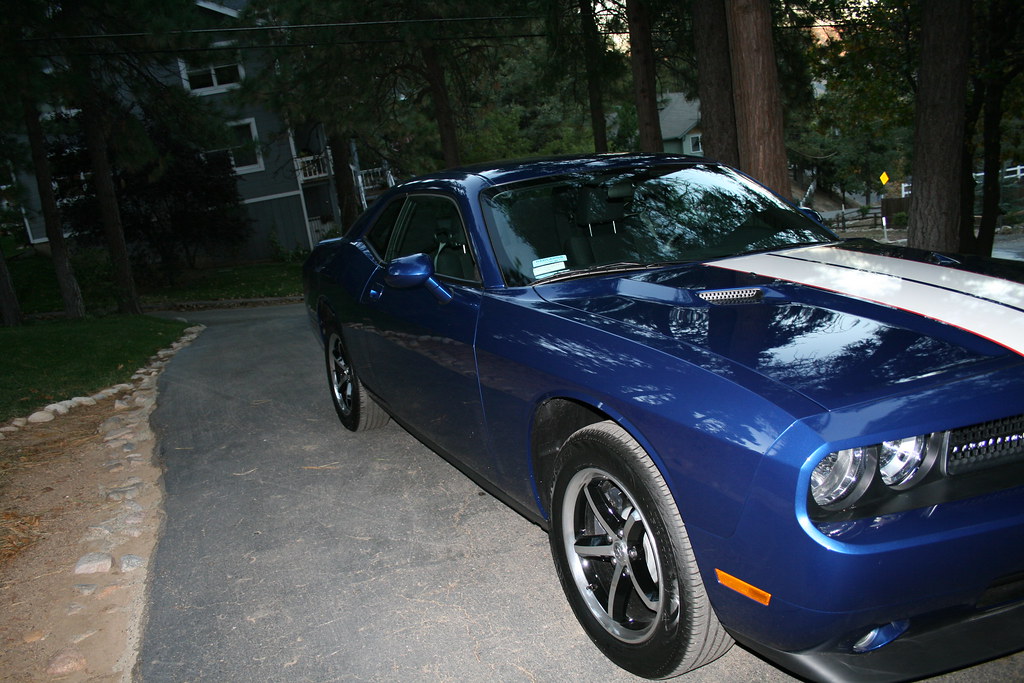 DWB w/ white hood stripes and 70' style stripes | Dodge Challenger Forum