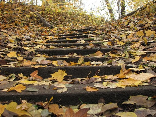Autumn yellow leaves and stairs • <a style="font-size:0.8em;" href="http://www.flickr.com/photos/43628998@N05/4072401400/" target="_blank">View on Flickr</a>