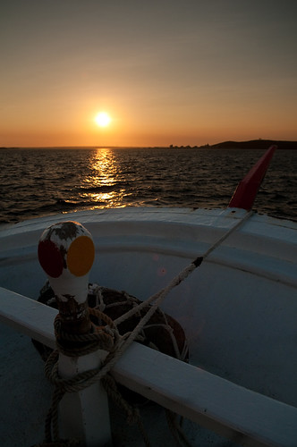 DSC_9452.jpg