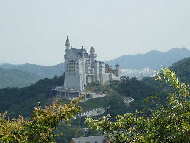 P1030521