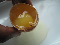 broken egg