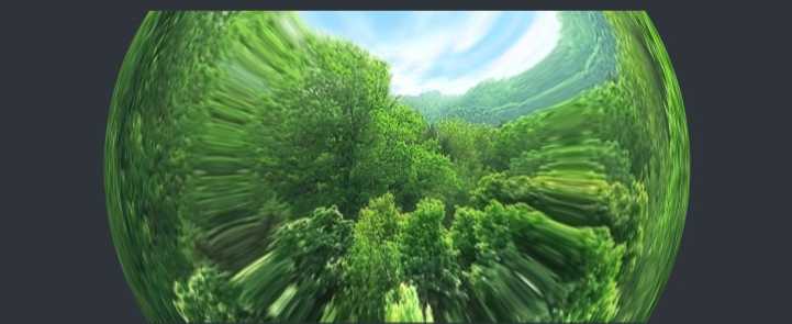 3753707773_eb5ee2c548_o.jpg