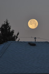 Full Moon over Burnaby