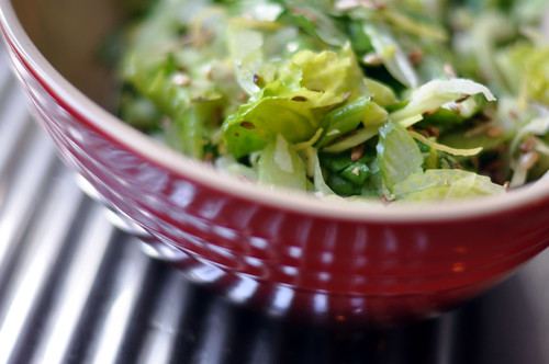 Salat af fennikel, bladselleri og citron