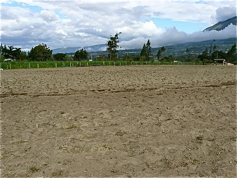 ecuador-farm