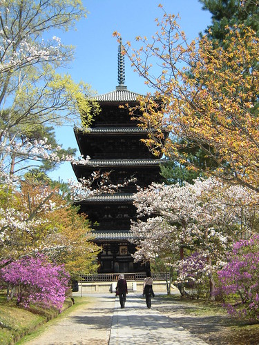 10 de Abril - Primer dia en Kyoto - Japón en 13 días, y por <2000€ (13)