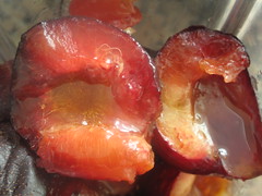 Ripe plums, halved