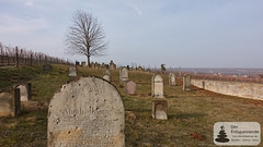 Jüdischer Friedhof bei Flonheim