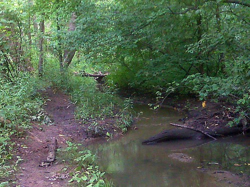 Slow Creek