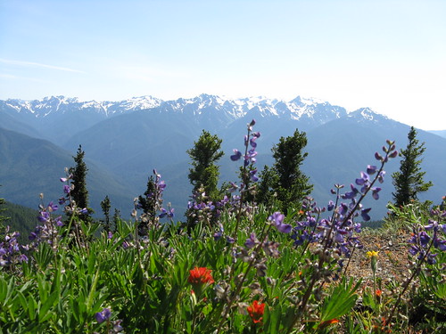 Hurricane Hill Trail