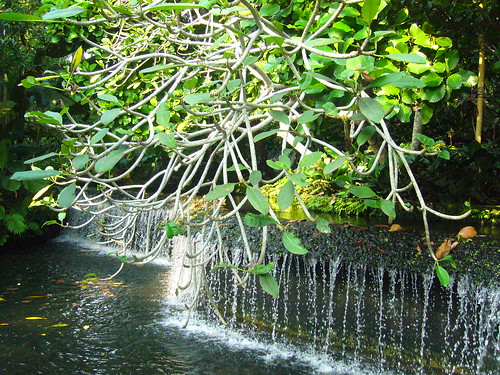 Waterfall of Eden