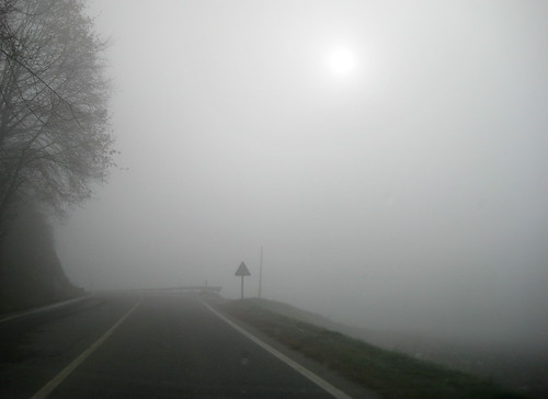 autunno, 21.11.09, 7