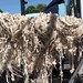 silk scraps drying